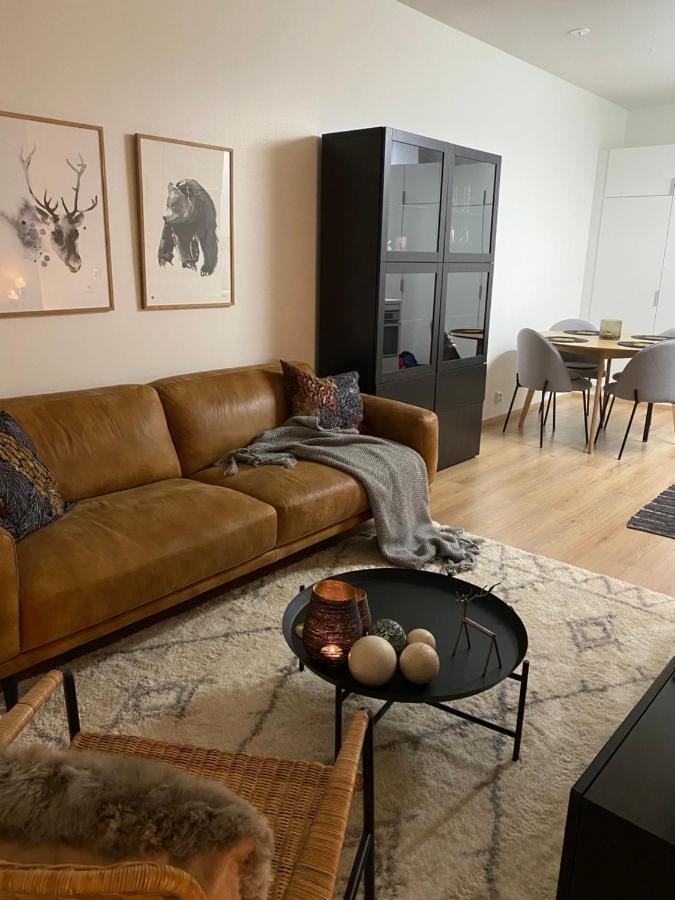 Amazing City Center Apartment Rovaniemi Exterior photo